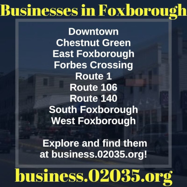 Foxborough areas 02035
