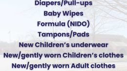 OneFoxborough-Donation-Drive-Flyer.jpg